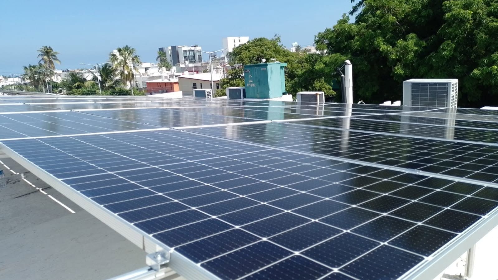 Línea de paneles solares instalados a gran escala